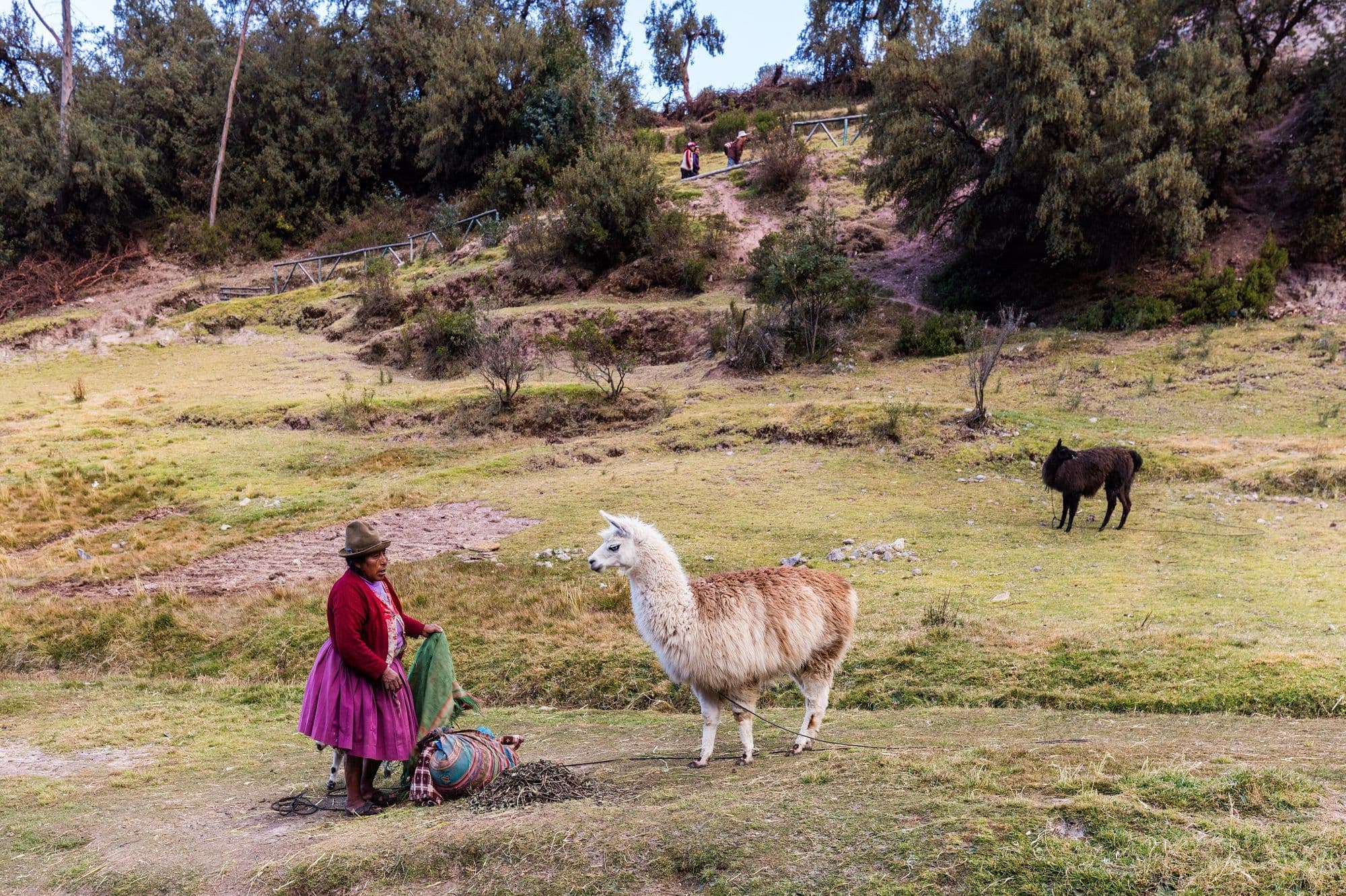 Tambomachay, Cuzco, Perú, 2015-07-31, DD 93